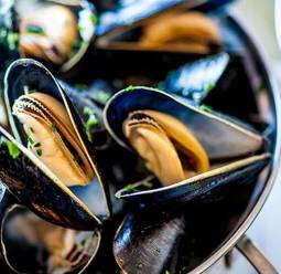 Recetas con mejillones