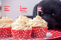 Cupcakes para perros